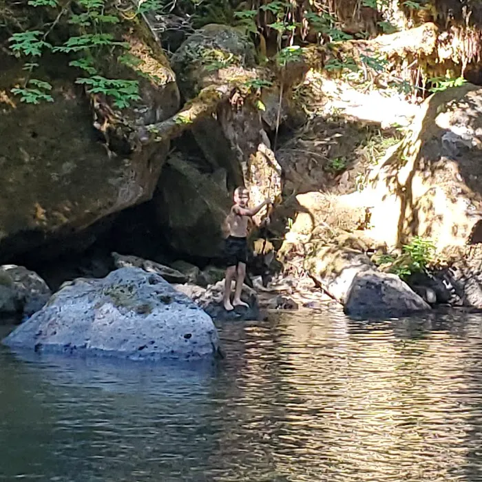 Cavitt Creek Falls Recreation Site Picture 5