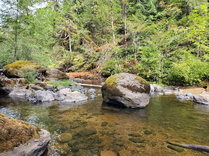 Cavitt Creek Falls Recreation Site Picture 8