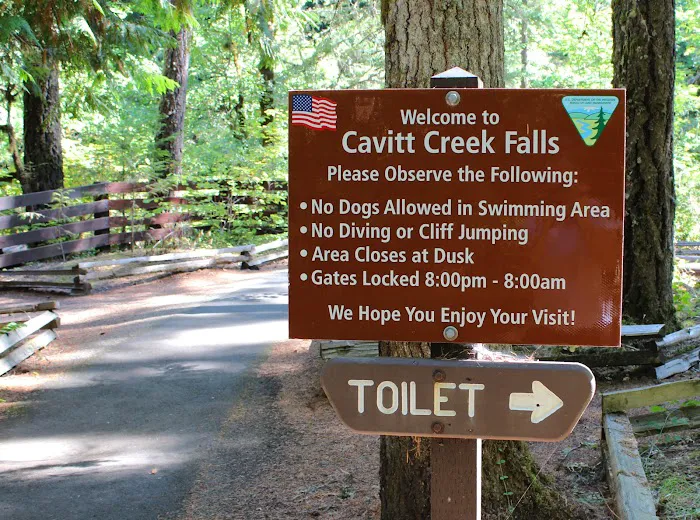 Cavitt Creek Falls Recreation Site Picture 9