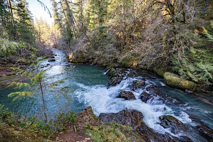 Cavitt Creek Falls Recreation Site Picture 3