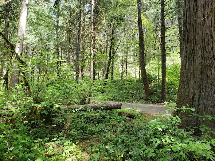 Boulder Flat Campground Picture 5