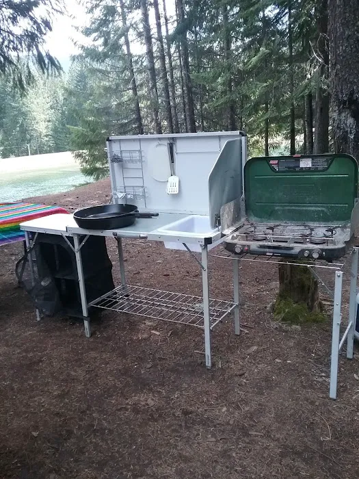 Lemolo #2 Forebay Forest Camp Picture 8