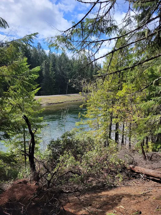 Lemolo #2 Forebay Forest Camp Picture 2
