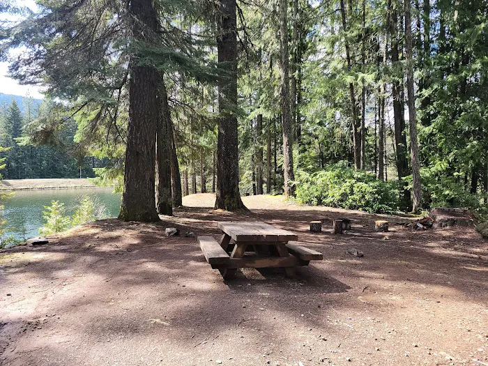 Lemolo #2 Forebay Forest Camp Picture 3