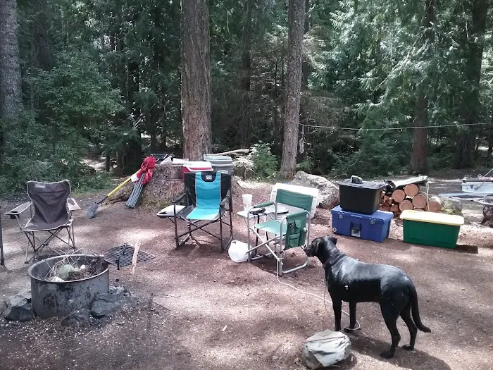 Lemolo #2 Forebay Forest Camp Picture 10