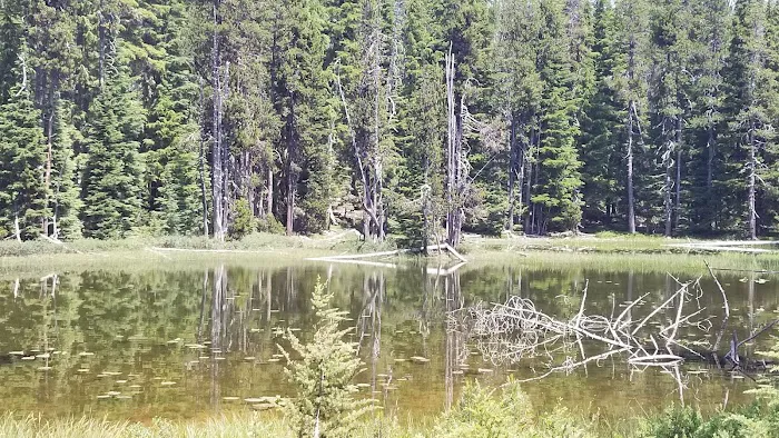 Summit Lake Campground Picture 7