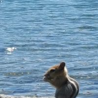 Summit Lake Campground ico
