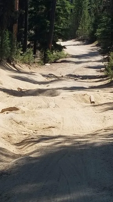 Summit Lake Campground Picture 2