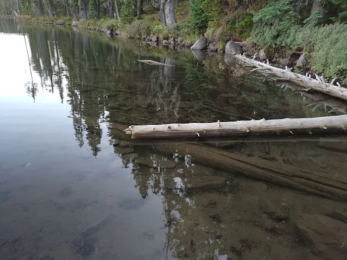 Summit Lake Campground Picture 9