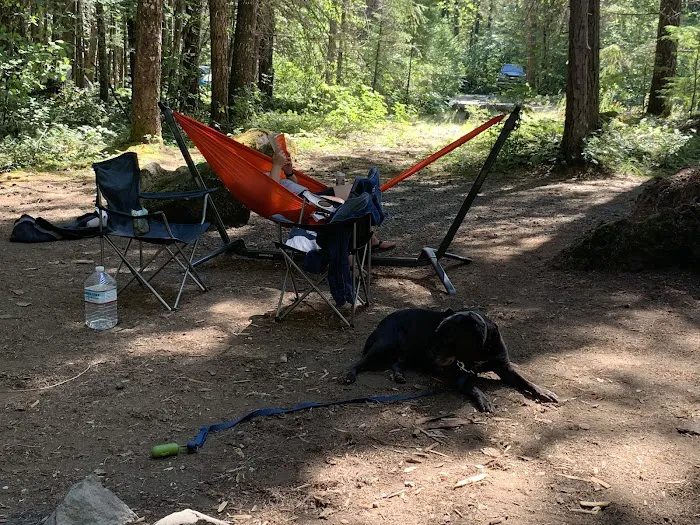 Toketee Lake Campground Picture 8