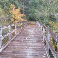 Toketee Lake Campground ico