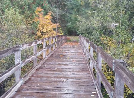 Toketee Lake Campground