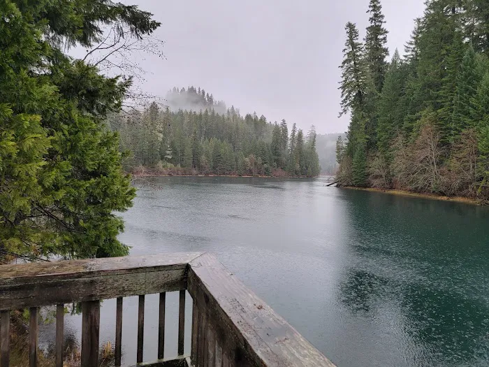 Toketee Lake Campground Picture 5