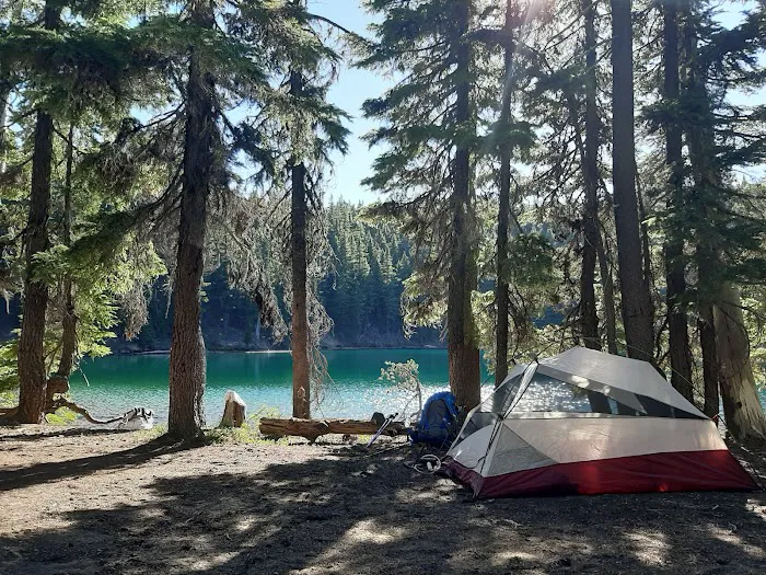 Pacific Crest Trailhead - Willamette Pass Picture 7