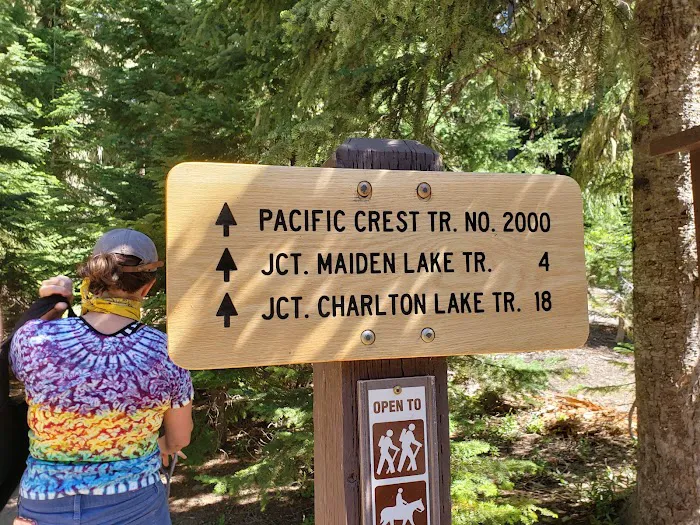 Pacific Crest Trailhead - Willamette Pass Picture 1