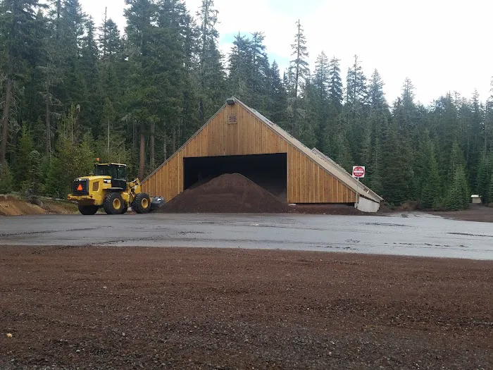Pacific Crest Trailhead - Willamette Pass Picture 8