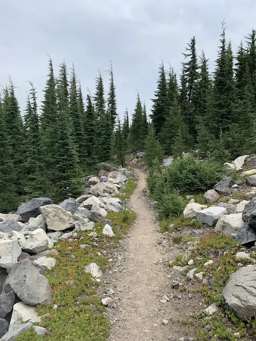 Pacific Crest Trailhead - Willamette Pass Picture 9