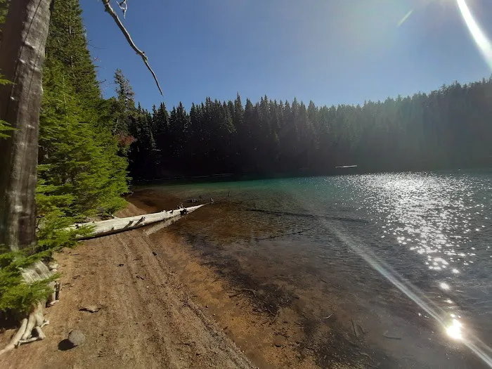 Pacific Crest Trailhead - Willamette Pass Picture 6