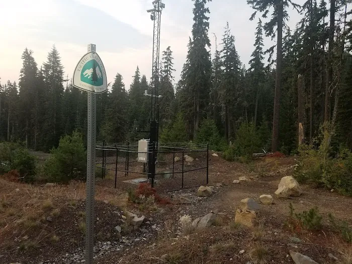 Pacific Crest Trailhead - Willamette Pass Picture 2