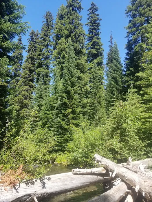 Trapper Creek Campground Picture 6