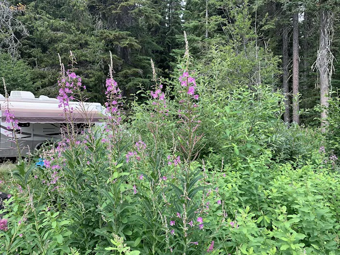 Trapper Creek Campground Picture 3