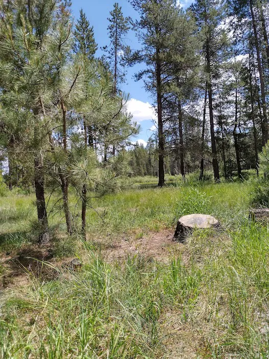 Big River Campground Picture 3