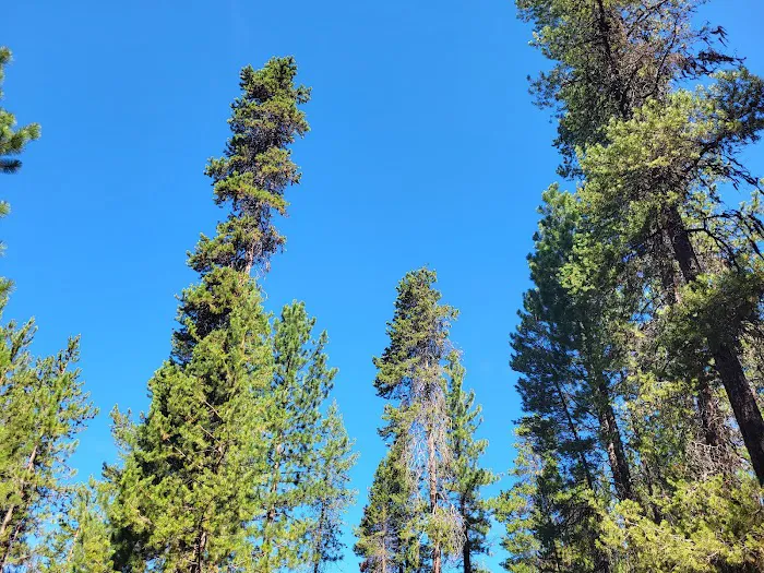 West South Twin Campground Picture 1