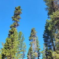 West South Twin Campground ico