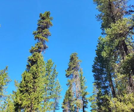 West South Twin Campground