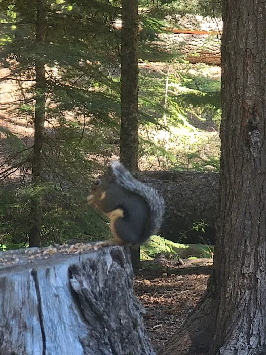 Princess Creek Campground Picture 5