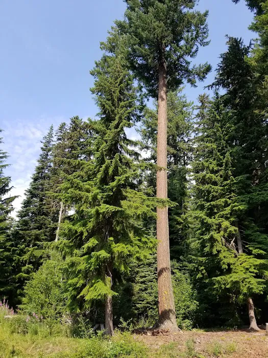 Princess Creek Campground Picture 7