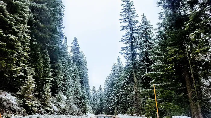 Princess Creek Campground Picture 10