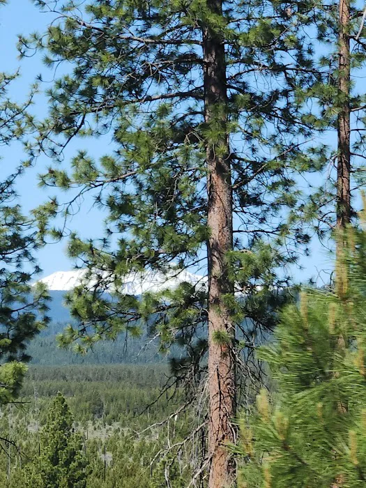 East Davis Lake Campground Picture 8