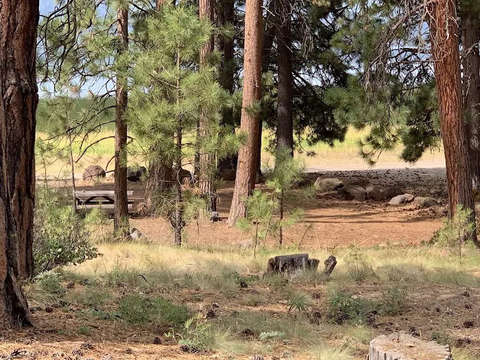 Lava Flow Campground Picture 9