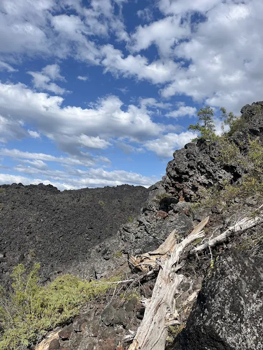 Lava Flow Campground Picture 8