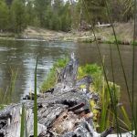 Fall River Campground