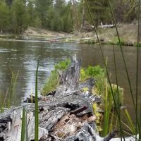 Fall River Campground ico