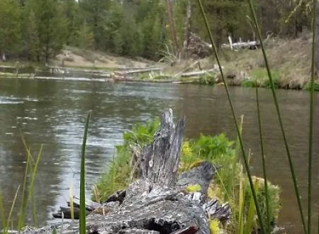 Fall River Campground