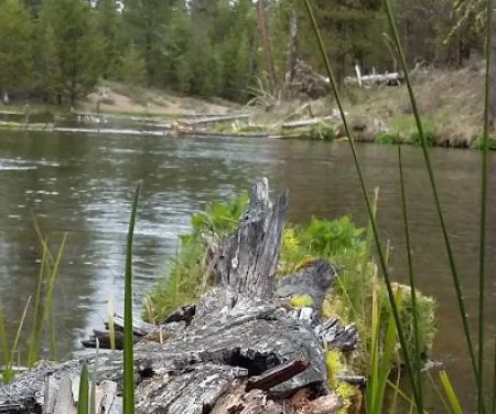 Fall River Campground