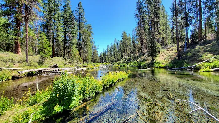Fall River Campground Picture 2