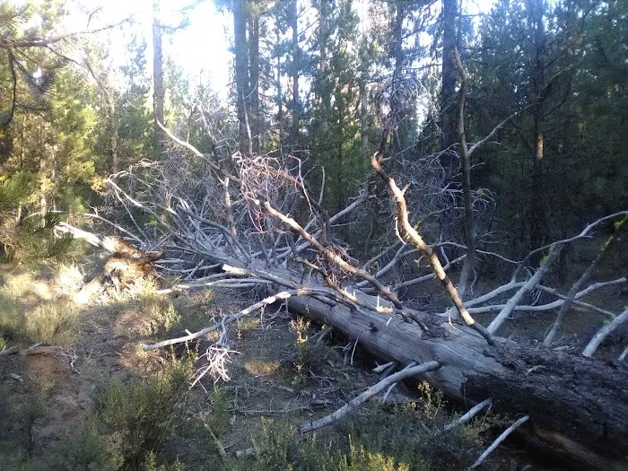 Fall River Campground Picture 3
