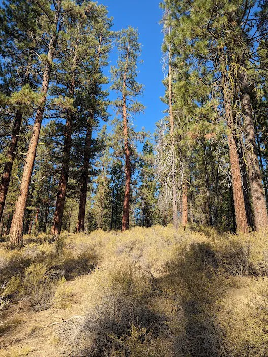 Fall River Campground Picture 10