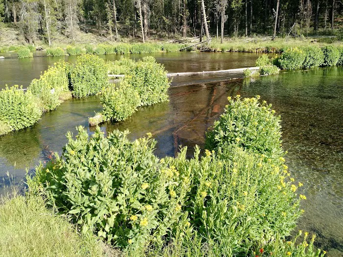 Fall River Campground Picture 6