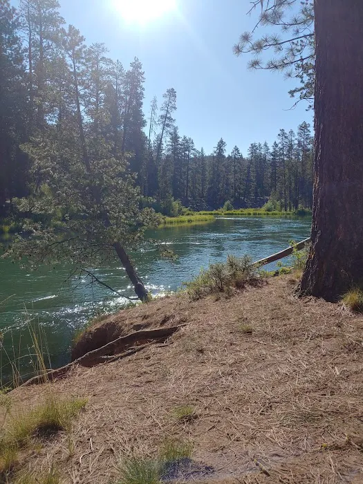 Bull Bend Campground Picture 3
