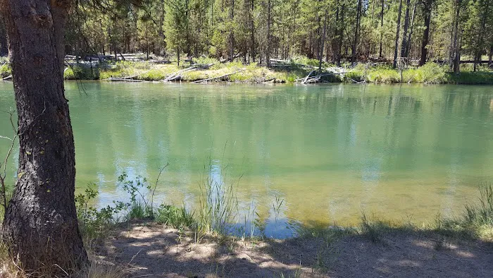 Bull Bend Campground Picture 1