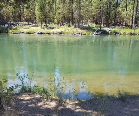 Bull Bend Campground