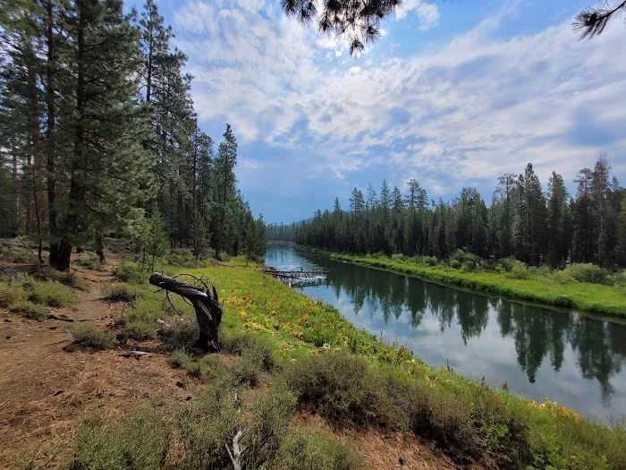 Bull Bend Campground Picture 9