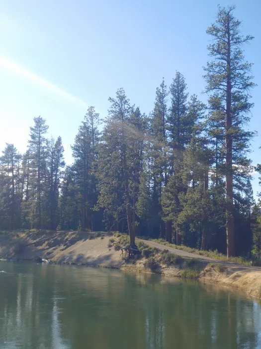 Bull Bend Campground Picture 5