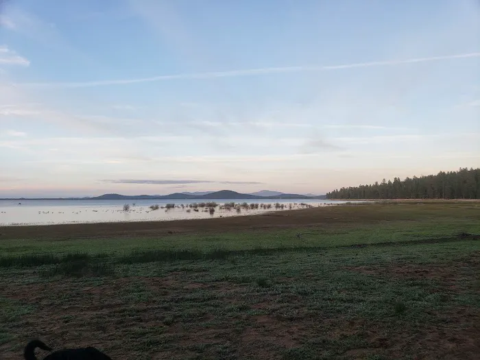 Reservoir Campground Picture 2