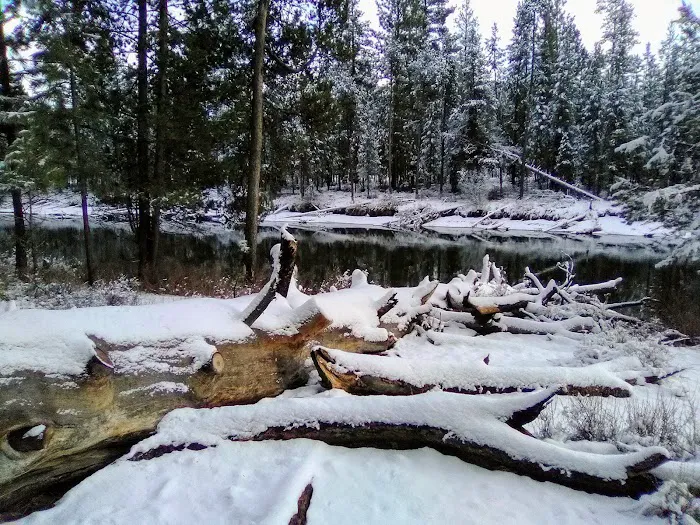 Wyeth Campground Picture 3